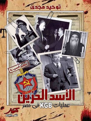 cover image of الأسد الحزين